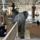 GR(부안군)-[격포로]-하-2 | 아이랑 소노벨 변산: 오션플레이, 조식뷔페, 격포해수욕장 해안산책, 채석강