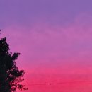 낭도 꿈뜰펜션 이미지