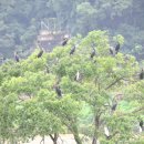 대덕농장2 이미지