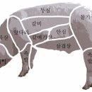 맛만 있으면 돼지 티스토리