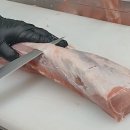 톰슨팩토리 이미지