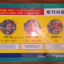 우기바다