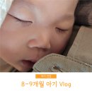 수막 목장 네이버블로그