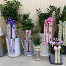 365효한의원 이미지