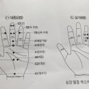 수지침으로 건강관리, 손은 전신의 축소판 이미지