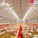 계산축사 이미지