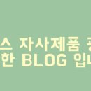 노브랜드버거 연신내역점 이미지