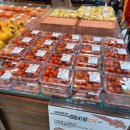 토마토생활용품할인마트 이미지