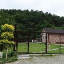 충남켄넬 이미지