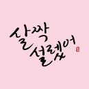 꽃;너에게 이미지