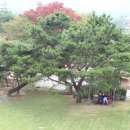 숲속에 안뜰 이미지