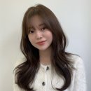 아눔헤어 이미지