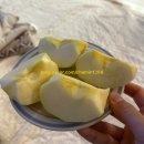 임신 16주차 : 통합 기형아검사 고위험군 진단 / 일산차병원 양수검사