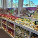 새린농장 이미지