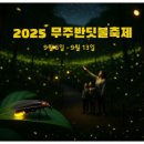 반딧불 이미지