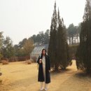 엔젤 식물원 | 이천 카페 추천 티하우스에덴 주차부터 홍차 메뉴까지, 더글로리 촬영지 속 힐링