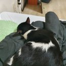 함평모란정 이미지