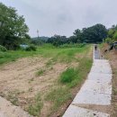 금산농장 2 이미지