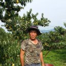 덕진농장 이미지