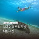 인정프린(아) | 필리핀 보홀 발리카삭 호핑투어, &lt;케이호핑&gt; 내돈내산후기