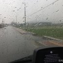 능서농협주유소 이미지