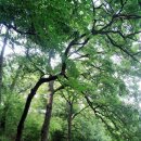 황화산성 네이버블로그