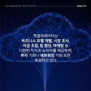 하이버프파트너스