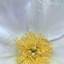 소소산방 이미지