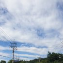 황금궁전주유소 이미지