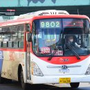 수원-1266 이미지