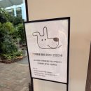 대전 근교 가볼만한곳 뷰 좋은 금산카페 하늘물빛정원 식물원카페 내돈내산 후기