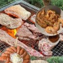 민박어항 이미지