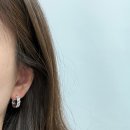 로얄마돈나