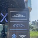 사북선명아파트 출구 앞 | 부산 여행 아이랑 갈만한곳 랜드마크 부산 엑스더스카이할인 (입장료, 주차, 이용팁)
