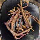잡앗닭 양산북정본점 양산닭갈비 맛집 추천