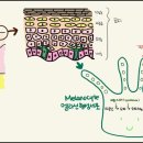 차오르다의원 이미지