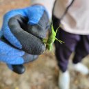 왕벌농장 이미지