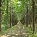 태신농장 이미지