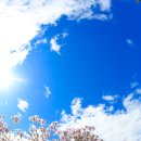 문희농장 이미지