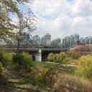 스마트폴32 이미지