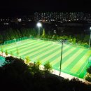 형산강체육공원 축구장 이미지