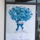 엘피갤러리 이미지