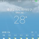 비카미카