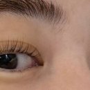 reve brow
