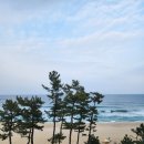 바다가1 | 강릉 강문해변 가성비 숙소, 바다가 잘 보이는 오션뷰 호텔랑 1박 솔직 후기