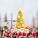 농촌체험코스(남부) 이미지