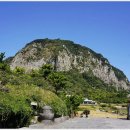 오션스케치 이미지