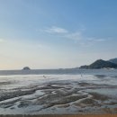 해안로장어촌