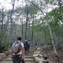 BUBBLE PARK 이미지