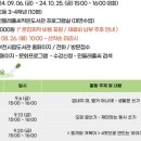 문해력쑥쑥글쓰기 이미지